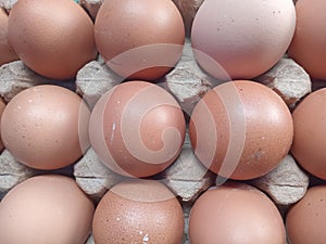 Fresh brown eggs in eggtray. Egg countainer