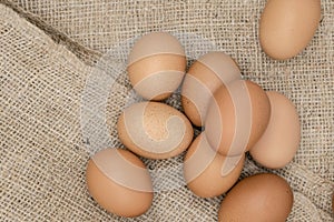 Fresh brown eggs organic arranged Burlap Sack Isolated on White Background