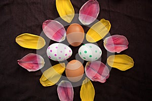 Fresh brown eggs and painted Ester eggs and petals of a Tulip