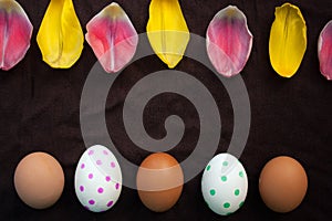 Fresh brown eggs and painted Ester eggs and petals of a Tulip