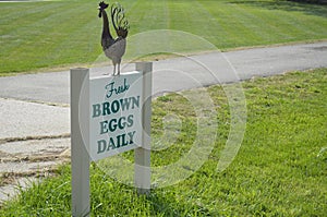 Fresh Brown Eggs Sign