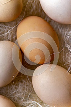 Fresh brown eggs and some straw in a wooden crate on a white background. Chicken eggs.