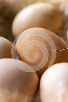 Fresh brown eggs and some straw in a wooden crate on a white background. Chicken eggs.