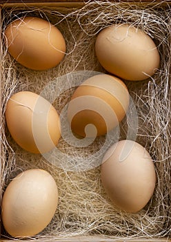 Fresh brown eggs and some straw in a wooden crate on a white background. Chicken eggs.