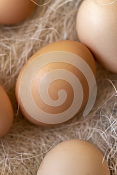 Fresh brown eggs and some straw in a wooden crate on a white background. Chicken eggs.