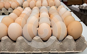 Fresh brown eggs in tray sold at local farm market