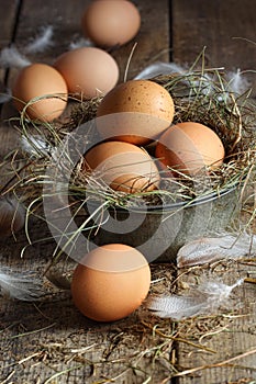 Fresh brown eggs on wood background