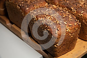 fresh brown loaves of rye bread in the form of bricks with sunflower seeds on a crust. Lie on a wooden rack