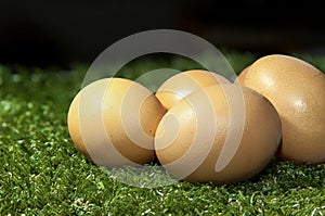 Fresh Brown Raw Eggs on lawn.