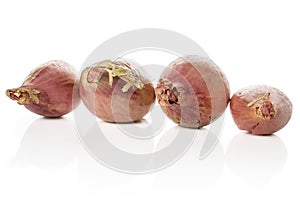 Fresh brown shallot isolated on white