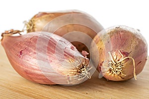 Fresh brown shallot isolated on white