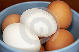 Fresh brown and white eggs in a bowl