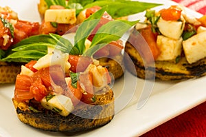 Fresh bruschetta with tomatoes cheese and basil