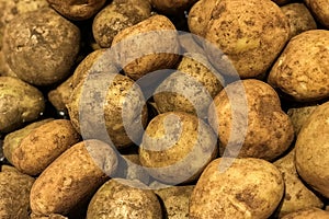 Fresh brushed potato piled on the market. Food backgroumd. Harvest