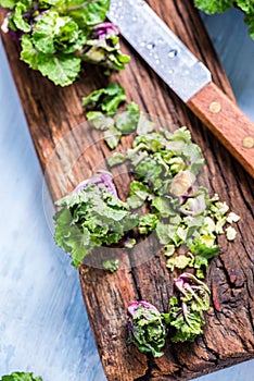 Fresh brussel and kale sprouts flower