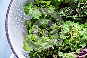 Fresh brussel and kale sprouts flower