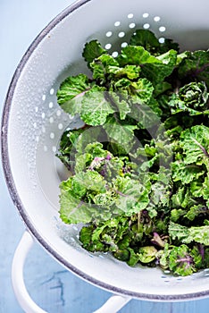 Fresh brussel and kale sprouts flower