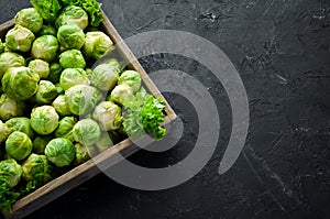 Fresh Brussels cabbage on a black background. Vegetables.