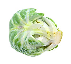 Fresh brussels sprout cut out on white