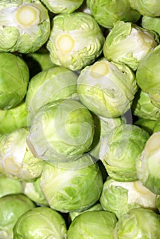 Fresh Brussels sprouts