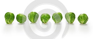 Fresh brussels sprouts banner