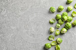 Fresh Brussels sprouts on grey background