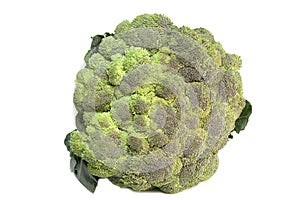 Fresh brussels sprouts isolated in a white