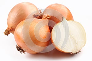 Fresh bulbs of onion