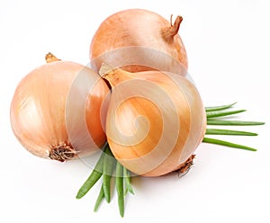 Fresh bulbs of onion