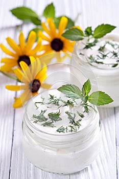 Fresh Bulgarian yogurt with herbs.