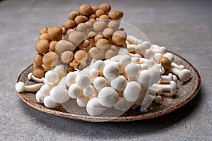 Fresh buna brown and bunapi white shimeji edible mushrooms from Asia, rich in umami tasting compounds such as guanylic and