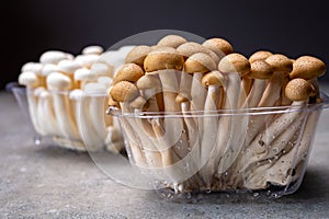 Fresh buna brown and bunapi white shimeji edible mushrooms from Asia, rich in umami tasting compounds such as guanylic and