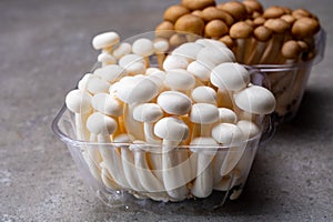 Fresh buna brown and bunapi white shimeji edible mushrooms from Asia, rich in umami tasting compounds such as guanylic and