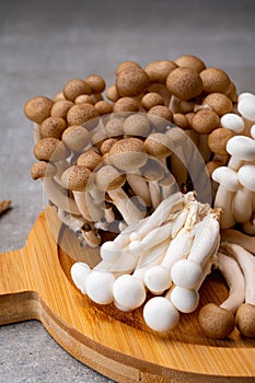 Fresh buna brown and bunapi white shimeji edible mushrooms from Asia, rich in umami tasting compounds such as guanylic and