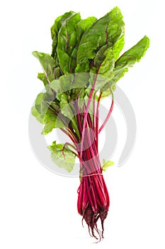 Fresh Bunch Of Beetroot