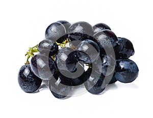 Fresh bunch of black grapes. White isolated background. Close-up.