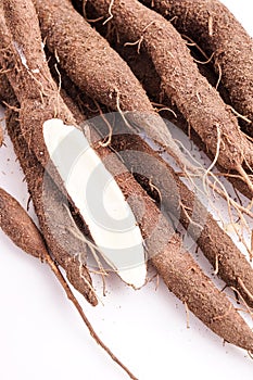 Fresh bunch of Black salsify