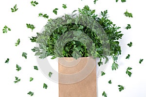 Fresh bunch of cilantro  coriander or parsley in paper bag isolated on white