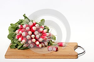 A fresh bunch of French breakfast radishes on a chopping board
