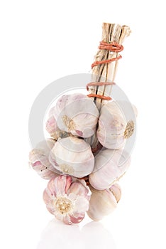 Fresh bunch garlic