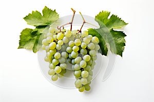 Fresh bunch of grapes with leaves isolated on a white