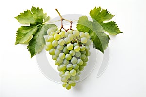 Fresh bunch of grapes with leaves isolated on a white