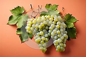 Fresh bunch of grapes with leaves isolated on a white