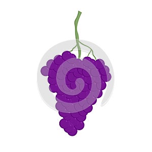 Fresh bunch of grapes purple icon on white background. vector illustration in flat style