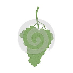 Fresh bunch of grapes purple icon on white background. vector illustration in flat style