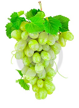 Fresh bunch of green grapes isolated on white background