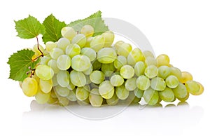 Fresh bunch of green grapes with leaves isolated on white background