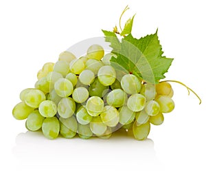 Fresh bunch of green grapes with leaves isolated on white background