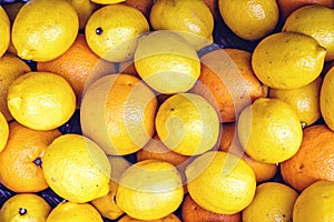 Fresh bunch of lemons and oranges