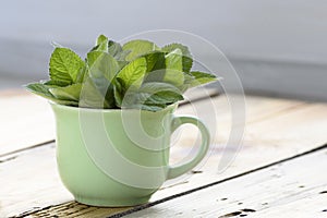 Fresh bunch of mint on wooden table